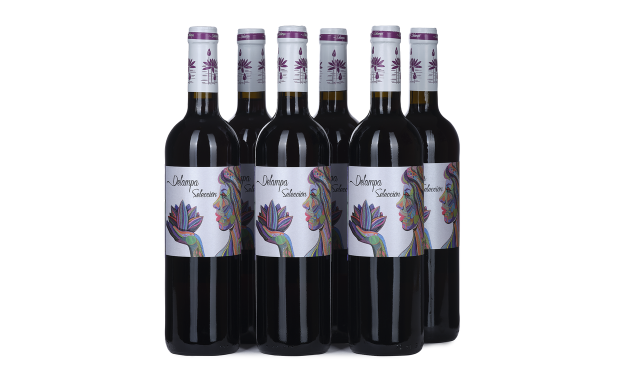 Ящик монастреля Delampa Seleccion