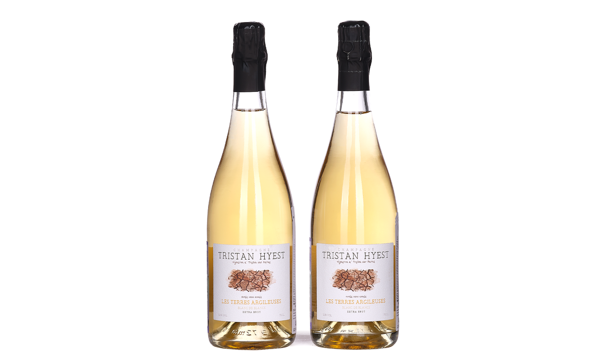 Пара шампанского Les Terres Argileuses Blanc de Blancs Extra Brut